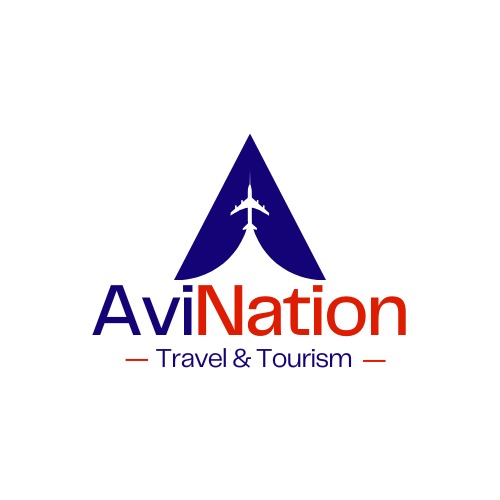 AviNation Consultants logo